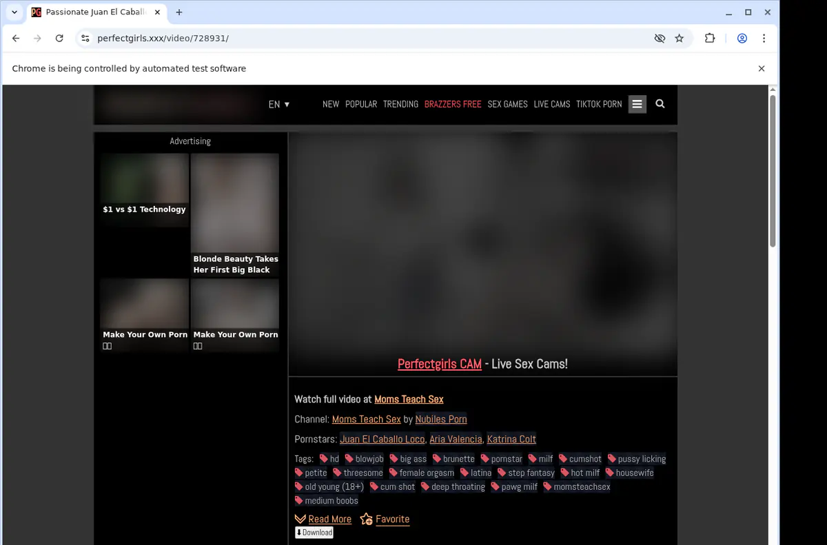 Perfectgirls Video Downloader browser extension screenshot 3