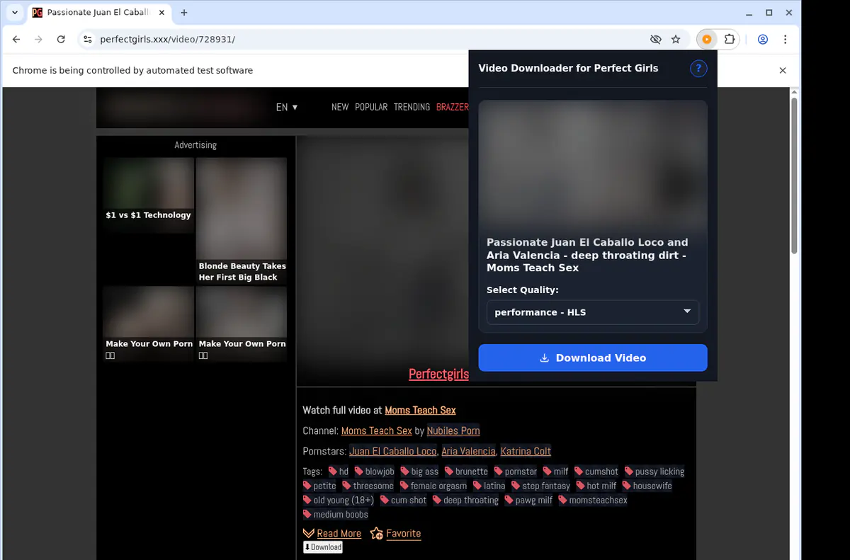 Perfectgirls Video Downloader browser extension screenshot 4