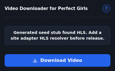 Perfectgirls Video Downloader browser extension screenshot 6